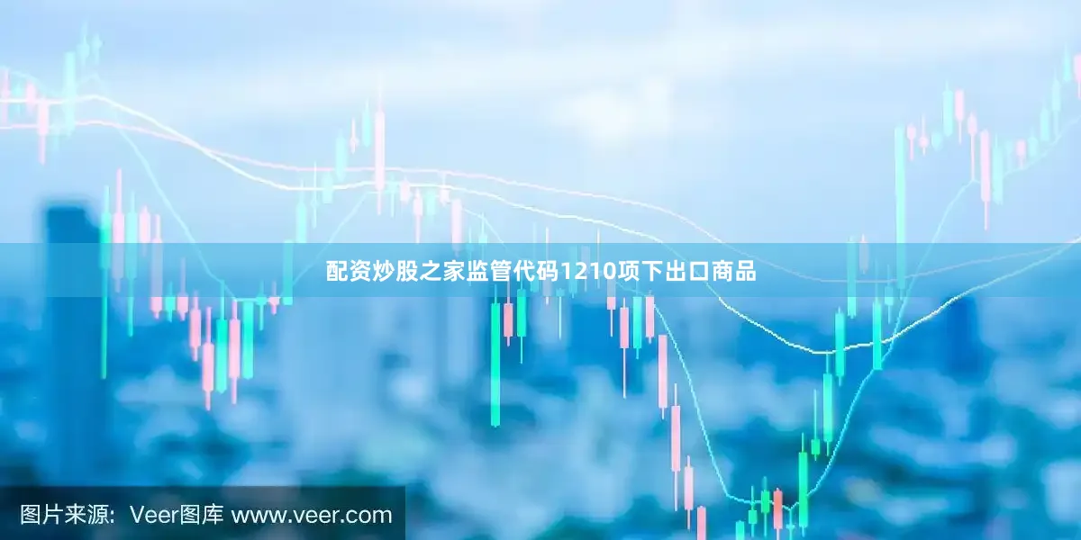 配资炒股之家监管代码1210项下出口商品
